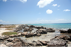 bonaire