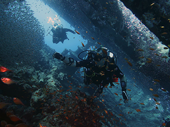 Garry Donaldson Garry Donaldson underwater